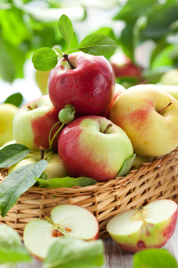 knackige Äpfel im Korb